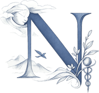 enluminure N ne pas sentir comme intelligen fr 2025 12 28